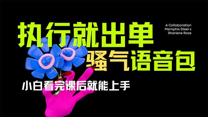 爆火全网的开车导航骚气语音包,只要执行就出单，小白看完课程就能实操…-情久项目网