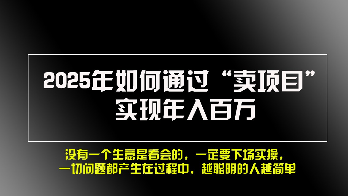 2025年如何通过“卖项目”实现年入百万-情久项目网