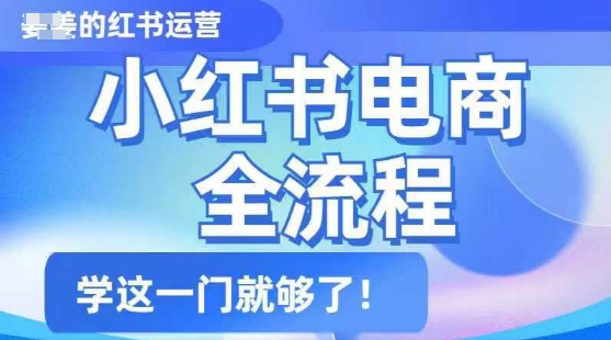 小红书电商全流程，精简易懂，从入门到精通，学这一门就够了-情久项目网