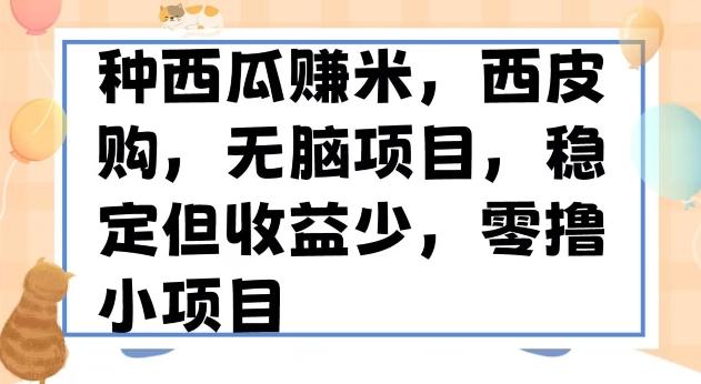 种西瓜赚米，西皮购稳定长久零撸小项目-情久项目网