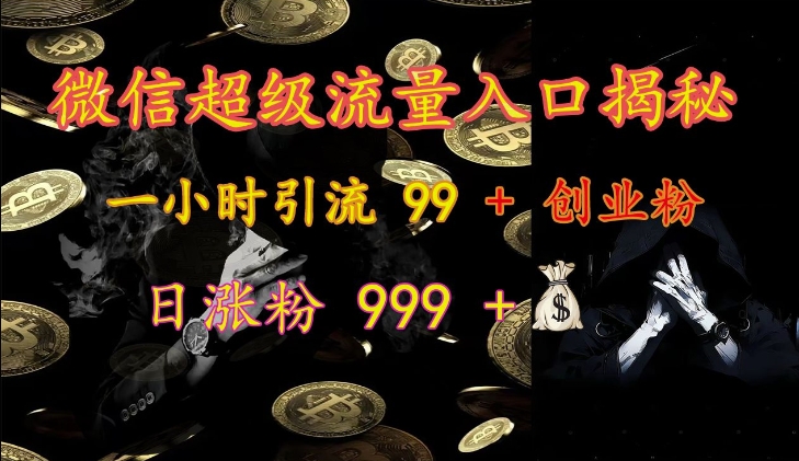 微信超级流量入口揭秘：一小时引流 99 + 创业粉，日涨粉 999 +-情久项目网