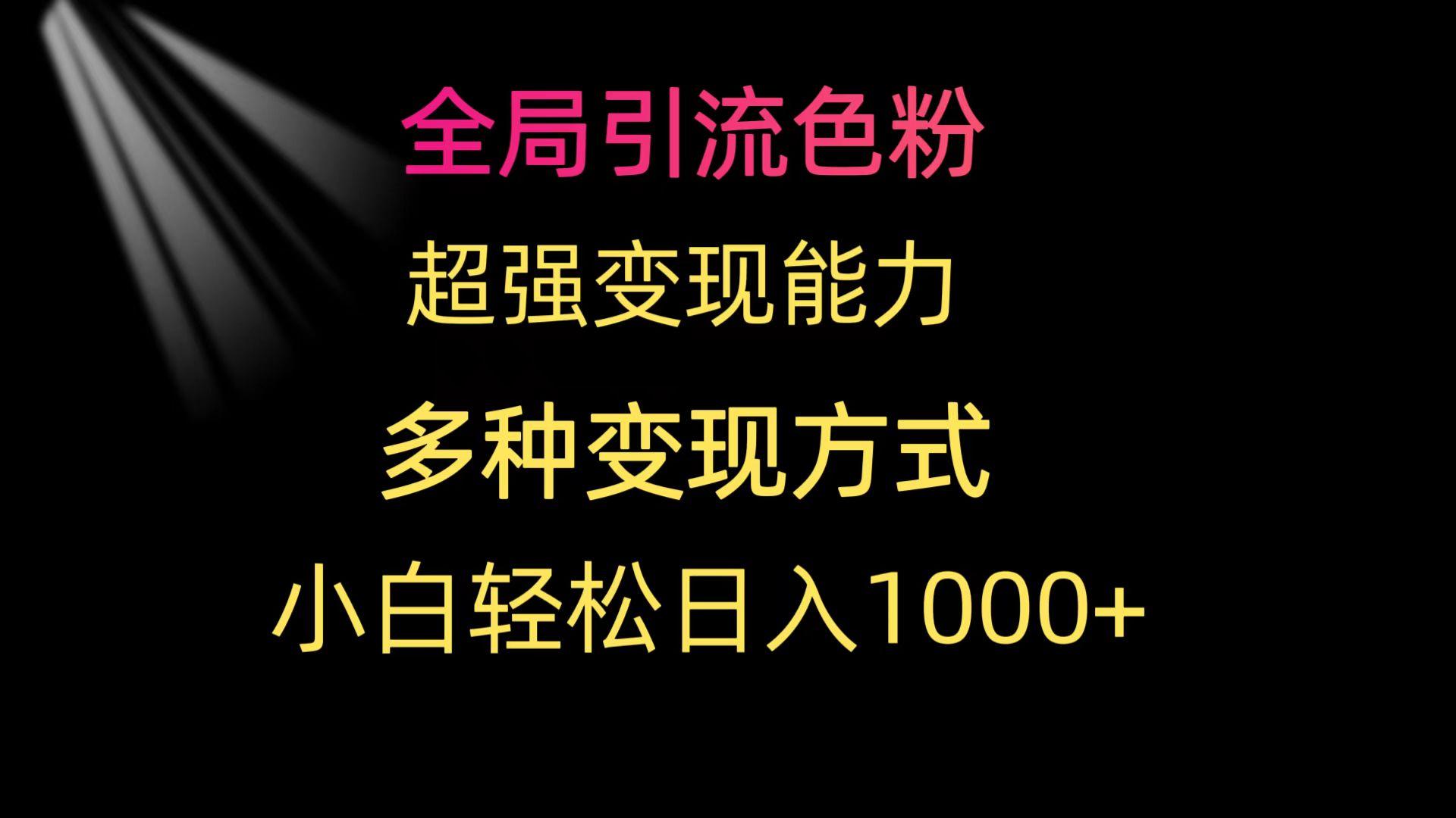 (9680期)全局引流色粉 超强变现能力 多种变现方式 小白轻松日入1000+-情久项目网