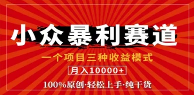 视频号最新爆火赛道，三种可收益模式，0粉新号条条原创条条热门 日入1000+-情久项目网
