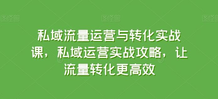 私域流量运营与转化实战课，私域运营实战攻略，让流量转化更高效-情久项目网