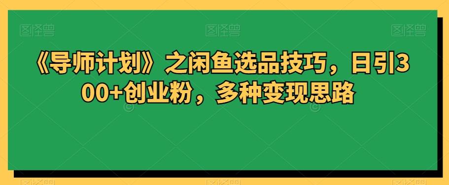 《导师计划》之闲鱼选品技巧，日引300+创业粉，多种变现思路-情久项目网