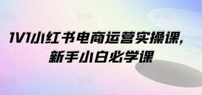 1V1小红书电商运营实操课，新手小白必学课-情久项目网