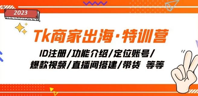 Tk商家出海·特训营：ID注册/功能介绍/定位账号/爆款视频/直播间搭建/带货-情久项目网