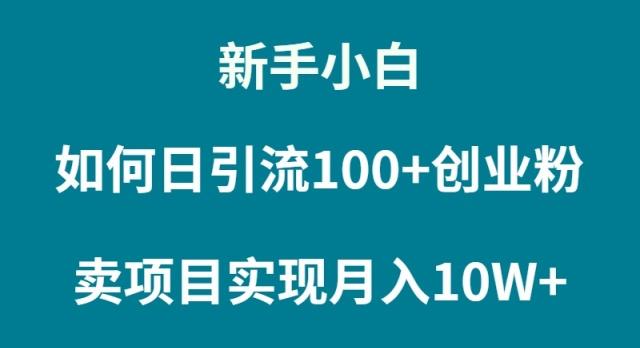 (9556期)新手小白如何通过卖项目实现月入10W+-情久项目网