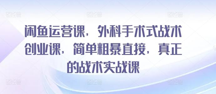 闲鱼运营课，外科手术式战术创业课，简单粗暴直接，真正的战术实战课-情久项目网