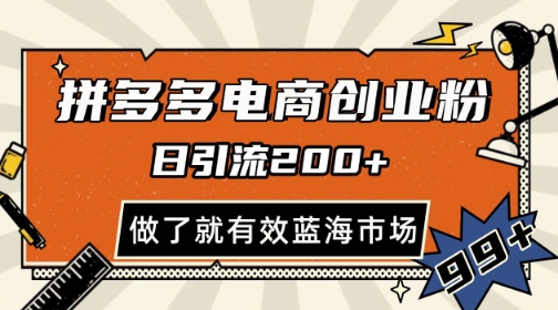 拼多多引流电商创业粉，日引200+，可矩阵放大，做了就有效【揭秘】-情久项目网