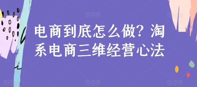 电商到底怎么做？淘系电商三维经营心法-情久项目网