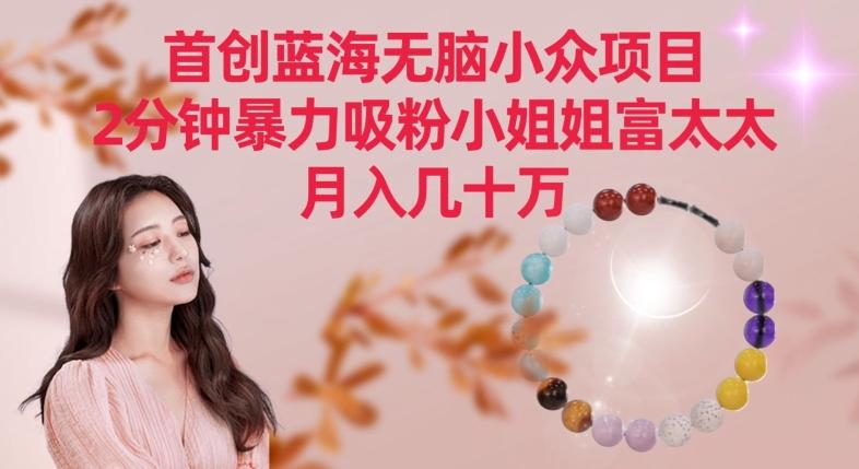 首创蓝海无脑小众项目，2分钟暴力吸粉小姐姐富太太，月入几十万【揭秘】-情久项目网