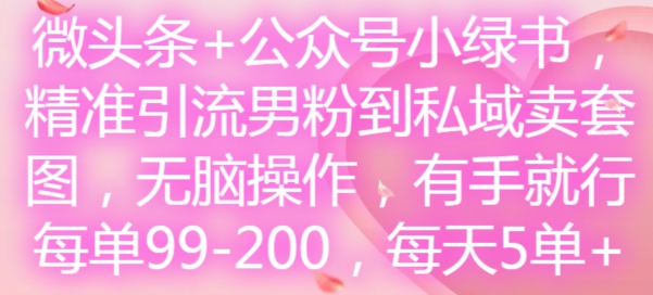 微头条+公众号小绿书，精准引流男粉到私域卖套图，无脑操作，有手就行，每单99-200，每天5单-情久项目网