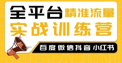 全平台精准流量实战训练营，百度微信抖音小红书SEO引流教程-情久项目网