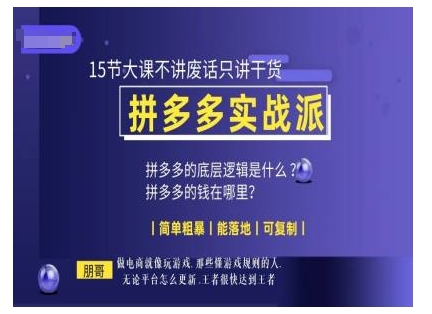 朋哥电商(拼多多实战派)，15节大课不讲废话只讲干货，简单粗暴 能落地 可复制-情久项目网