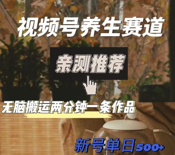 视频号养生赛道暴力掘金，无脑搬运，两分钟一条作品-新日单入500+-情久项目网