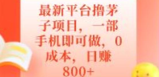最新平台撸茅子项目，一部手机即可做，0成本，日赚800+-情久项目网