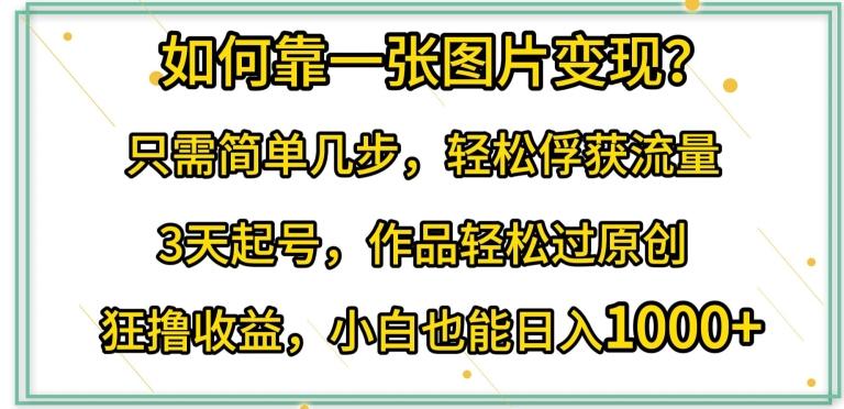 如何靠一张图片变现?只需简单几步，轻松俘获流量，3天起号，作品轻松过原创【揭秘】-情久项目网