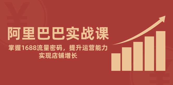 阿里巴巴实战课：掌握1688流量密码，提升运营能力，实现店铺增长-情久项目网
