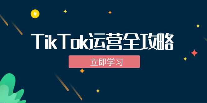 TikTok实战运营全攻略：从下载软件到变现，抖音海外版实操教程-情久项目网