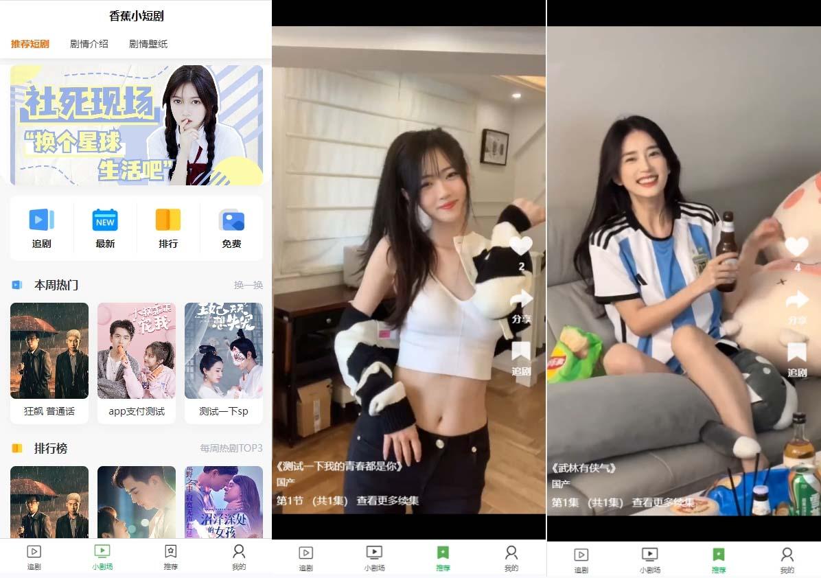 (8542期)小剧场短剧影视系统源码 全开源 带支付收益+会员机制+代理推广等模式【…-情久项目网