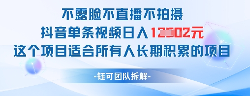 不露脸不直播不拍摄抖音单条视频日入1k+这个项目适合所有人长期积累的项目-情久项目网