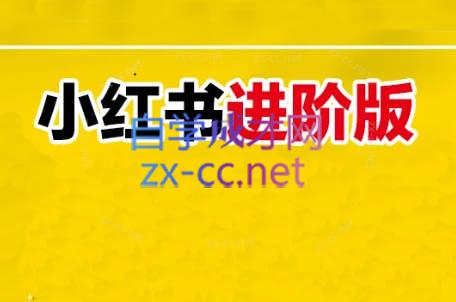 日日老师·小红书电商进阶版-情久项目网