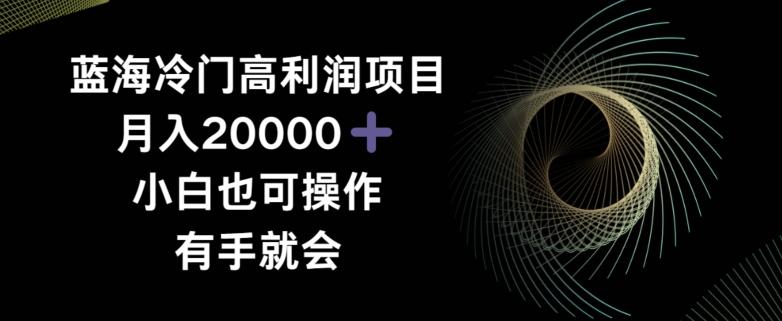 蓝海冷门高利润项目月入2000，小白也可操作有手就会-情久项目网