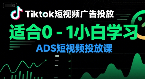 Tiktok短视频广告投放，适合0-1小白学习ADS短视频投放课-情久项目网