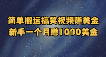 简单搬运搞笑视频挣美金，新手一个月入1k美金-情久项目网