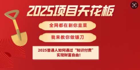 2025项目天花板普通人如何通过知识付费，实现财F自由【揭秘】-情久项目网